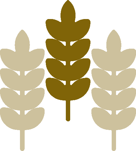 فطریه