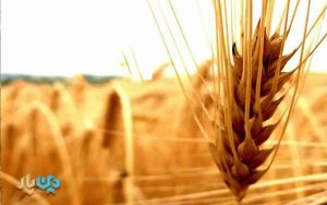 مبلغ کفاره روزه